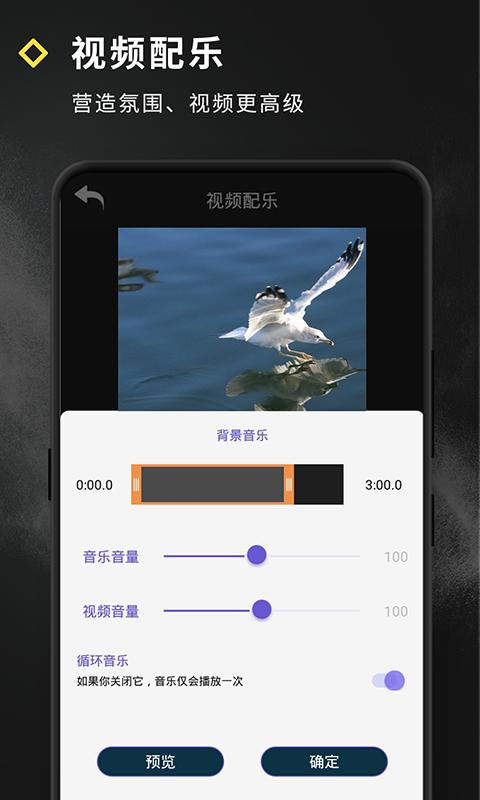 短视频特效 v5.3.3