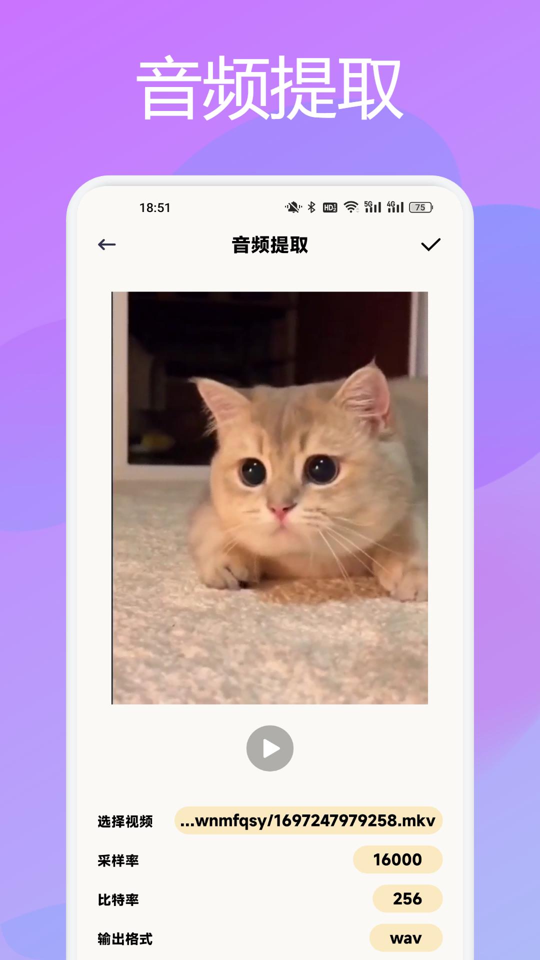 闪电格式转换器 v6.0.3