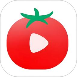 番茄影视