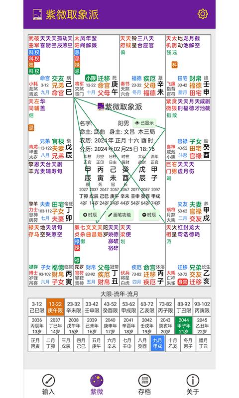 紫微取象派 v6.3.3