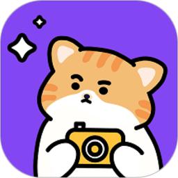 拼图喵相机