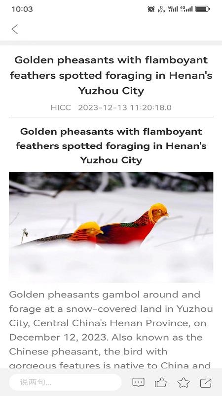 hihenan下载介绍图