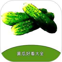 黄瓜好看大全