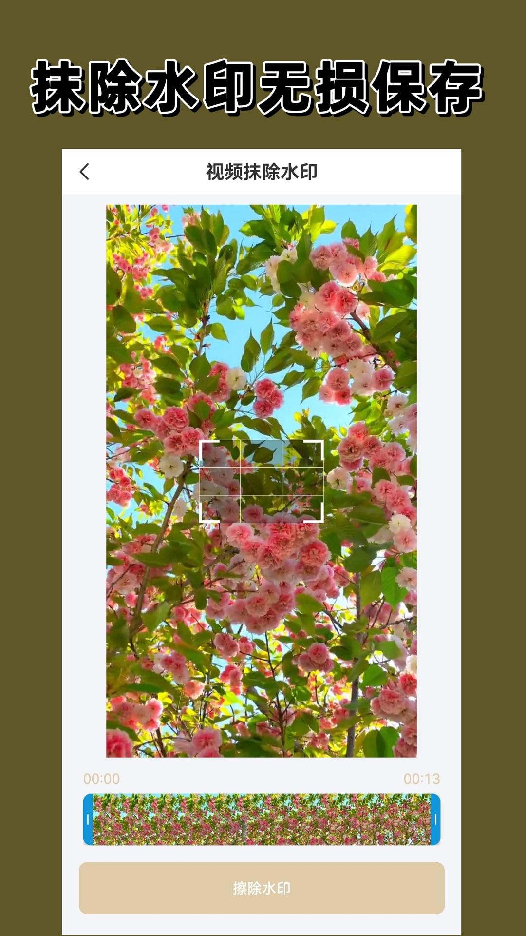 去水印大师 v4.1.2