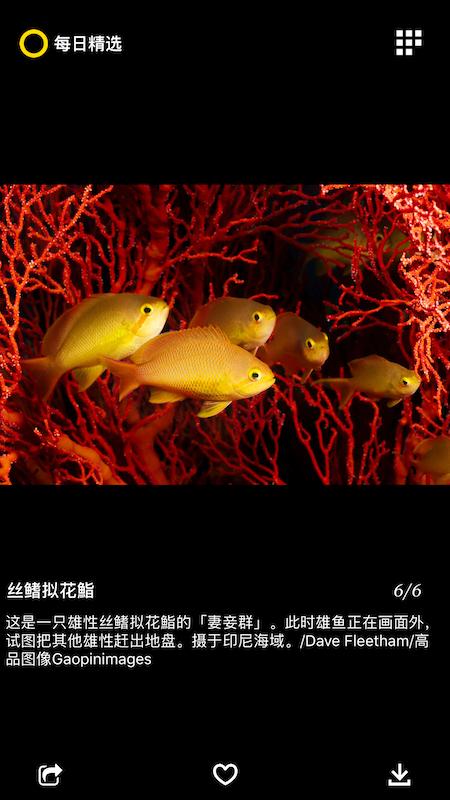 每日精选下载介绍图