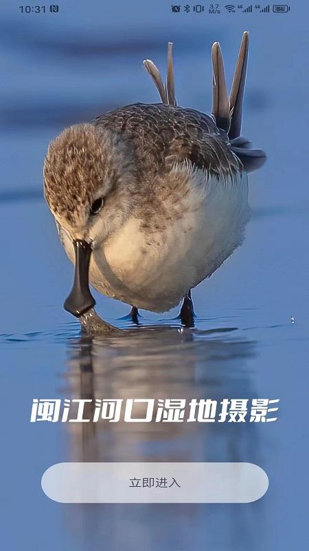 图悠悠下载介绍图