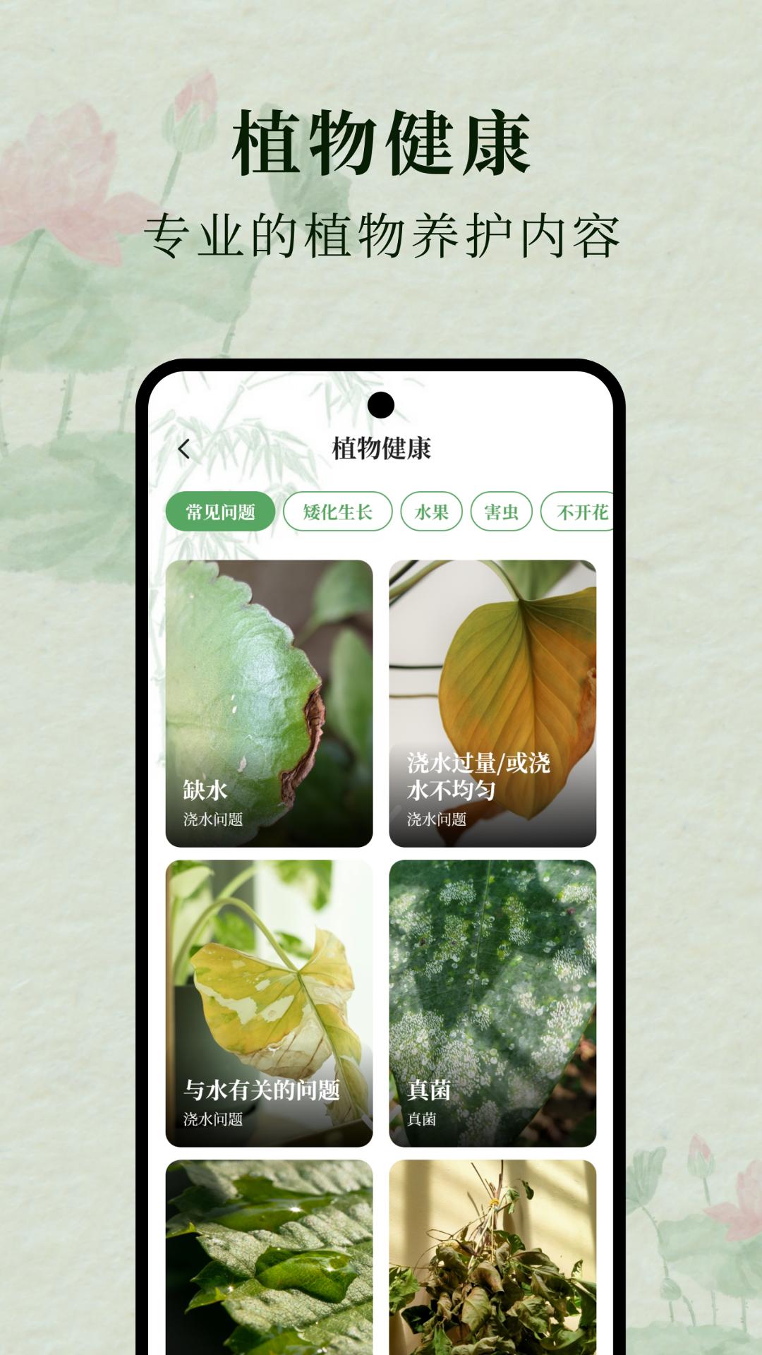 花草集 v6.3.1