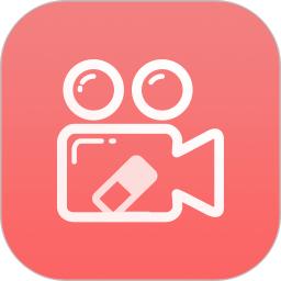 视频去水印大师