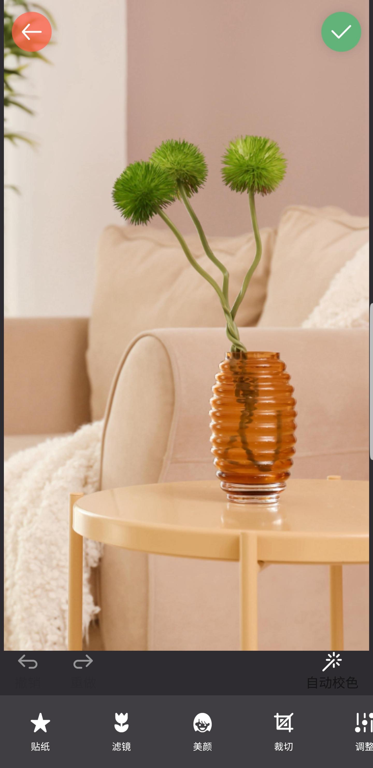 镜像相机下载介绍图