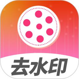 去水印视频解析