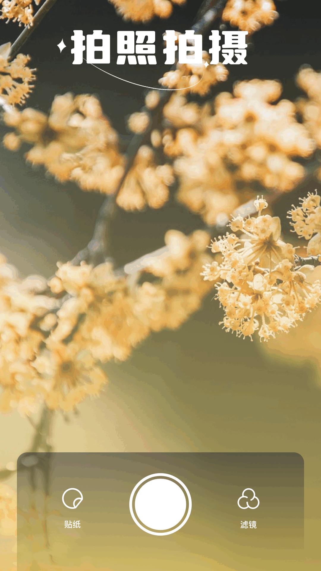 繁花漫画下载介绍图