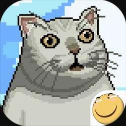 大千世界手机版