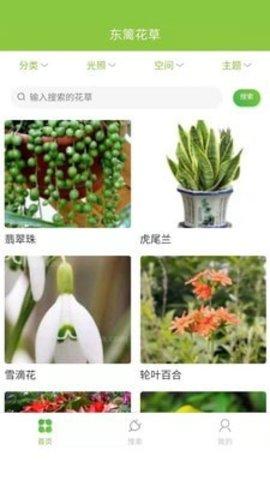 东篱花草app