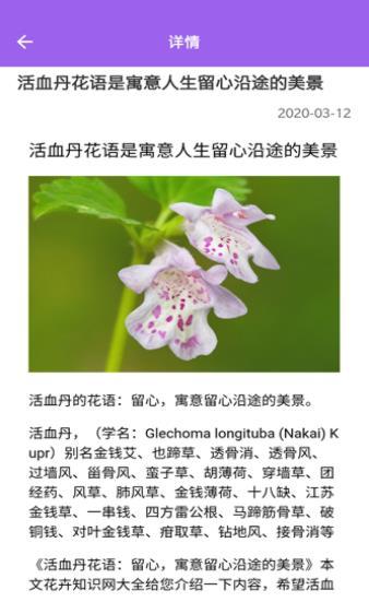 随手拍照识别最新版 v3.5.3