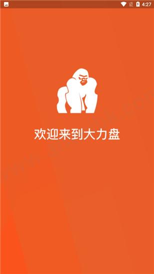 大力盘搜索引擎入口 v4.0.3