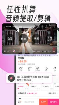 中舞网app v5.0.2