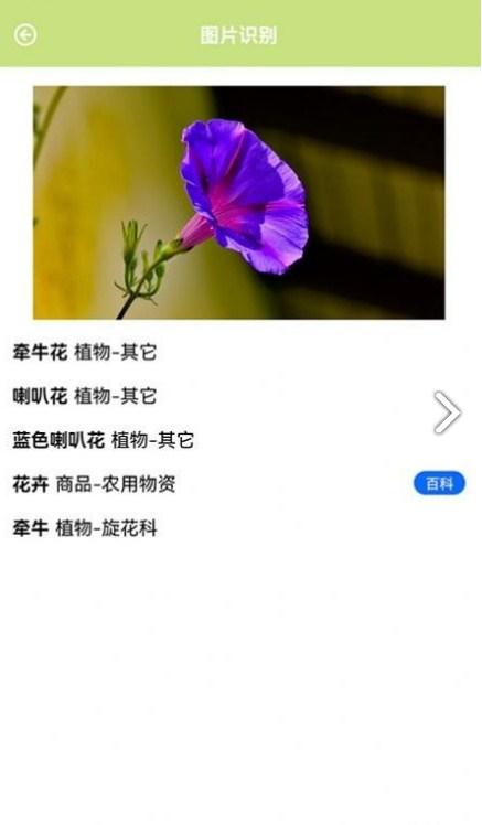 认识植物app v5.4.4