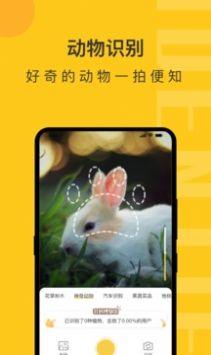 拍照识物精灵最新版