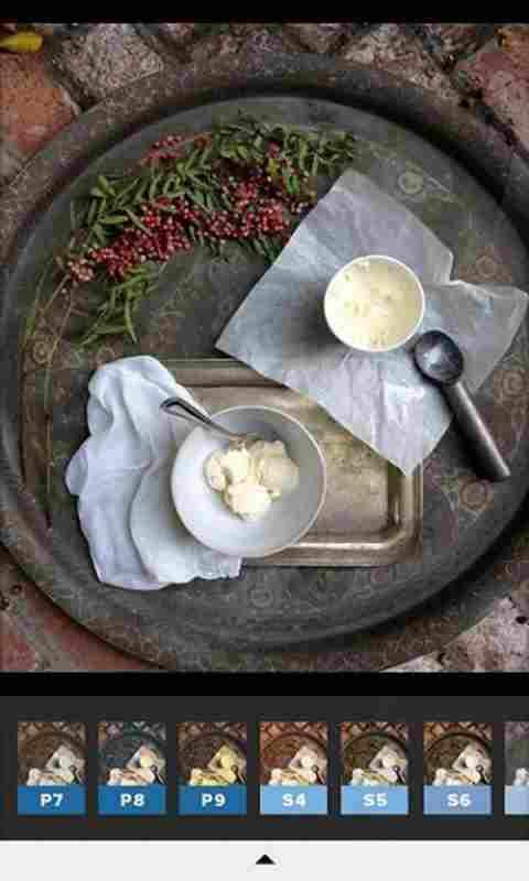 VSCO相机中文版app v3.1.4