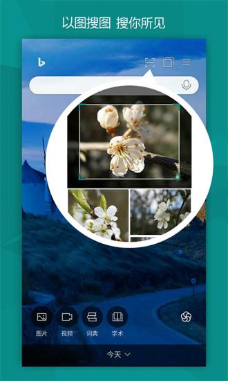必应浏览器 v3.4.3