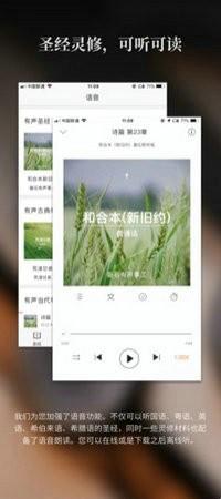 微读圣经官方免费安装 v3.5.4