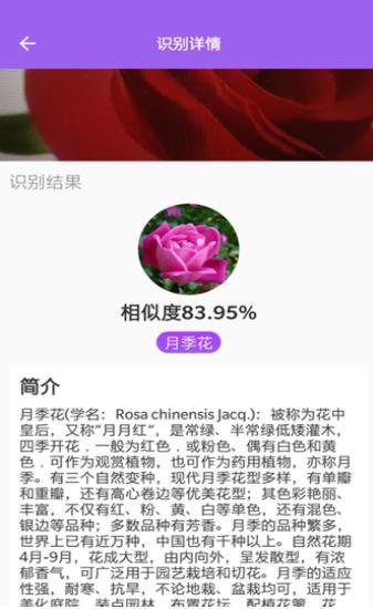 随手拍照识别最新版 v3.5.3
