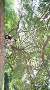 先锋影音下载版 v4.0.3