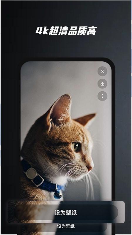 余香壁纸APP v6.2.4