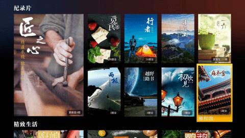 CIBN4K花园tv修改版