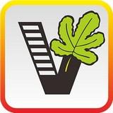 我要自学网app破解v币