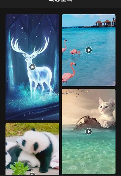 喵喵之家安卓版 v4.4.4