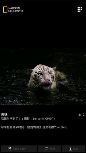 国家地理安卓版 v5.0.4