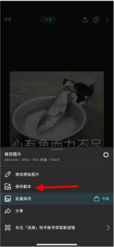 泼辣修图2023安卓版10