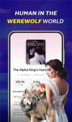 readink小说 v3.0.3