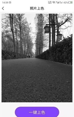 数创照片上色