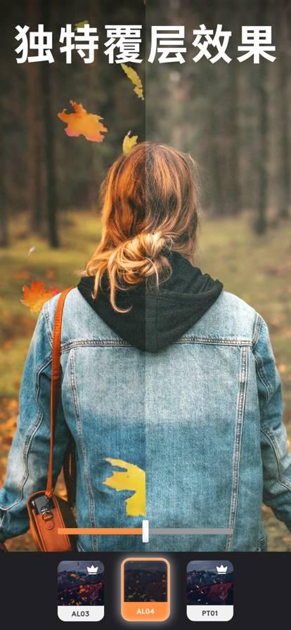 motionleap专业免费版 v4.3.3