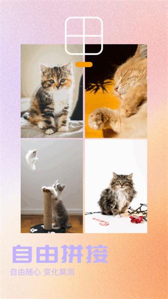 我的口型相机 v6.0.1