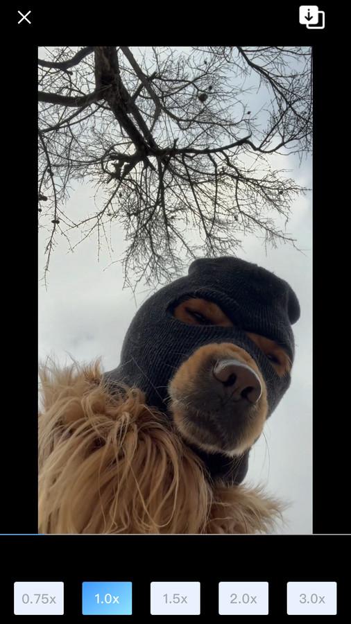 悟空智能遥控 v5.5.1