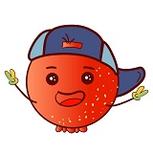 山楂影视播放器新版