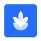 麦片屏幕翻译工具