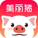 美丽猪