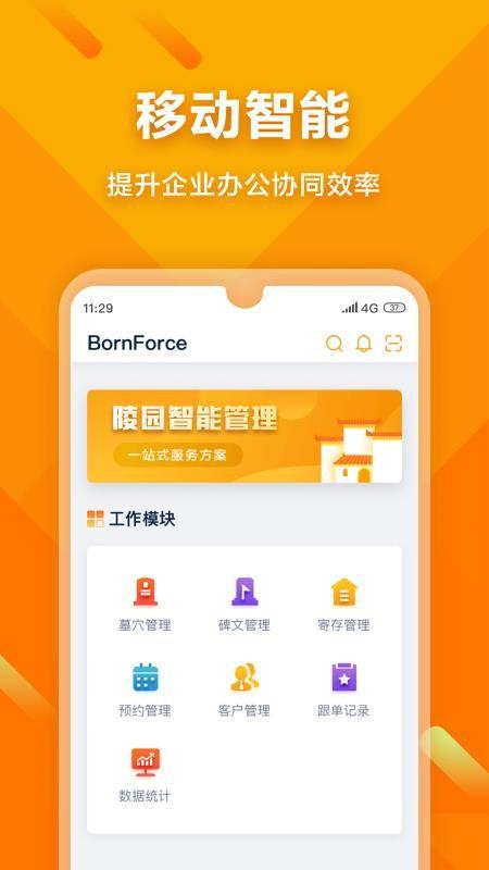 BornForce v6.4.1