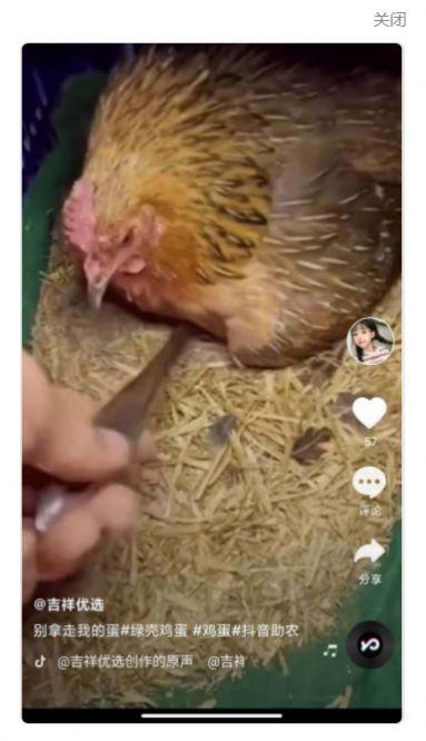 全民刷刷短视频 v4.4.2