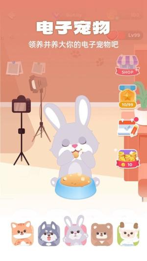 灵魂宠物动物系长相测试