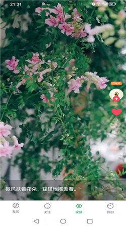 蓝猫短视频 v6.1.3