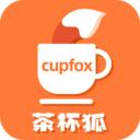 cupfox茶杯狐
