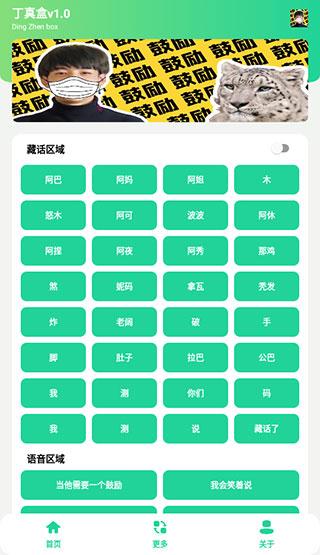 丁真盒子8.0 v4.0.3