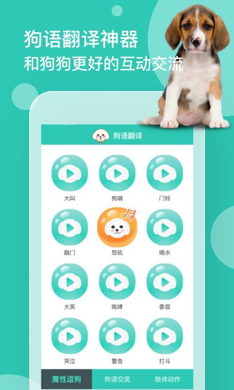 狗语翻译 v6.3.3