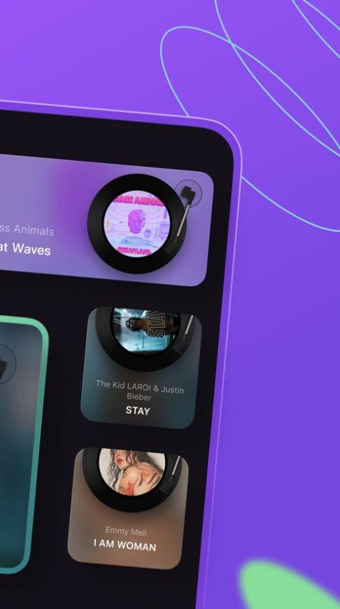 谜底黑胶软件 v6.2.3