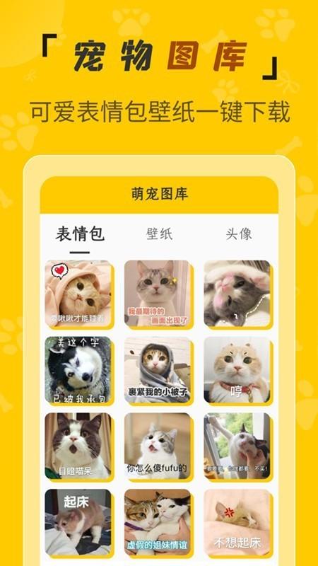 人猫翻译机 v4.4.4